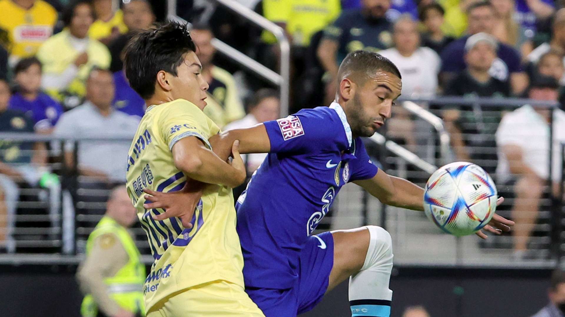 结合本土球 结合本土球